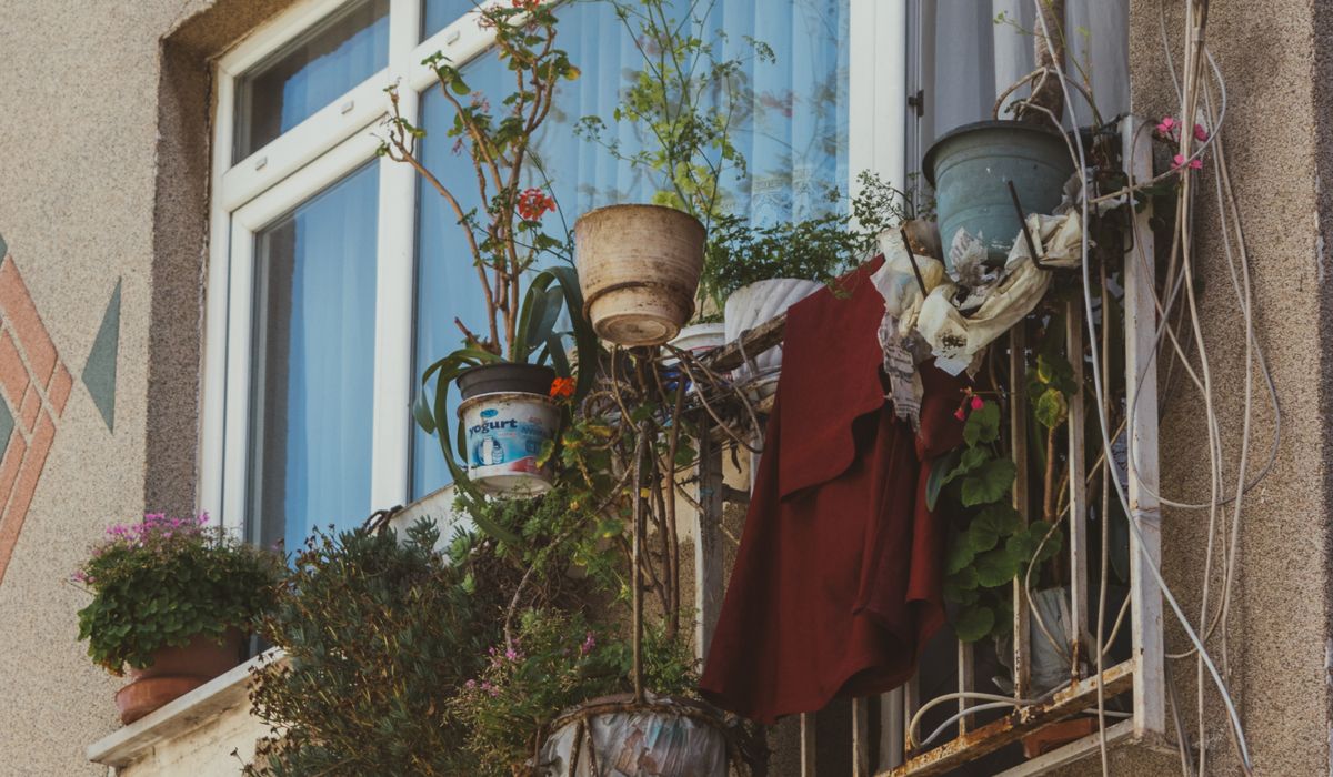 How to Choose the Right Pot for Container Gardening