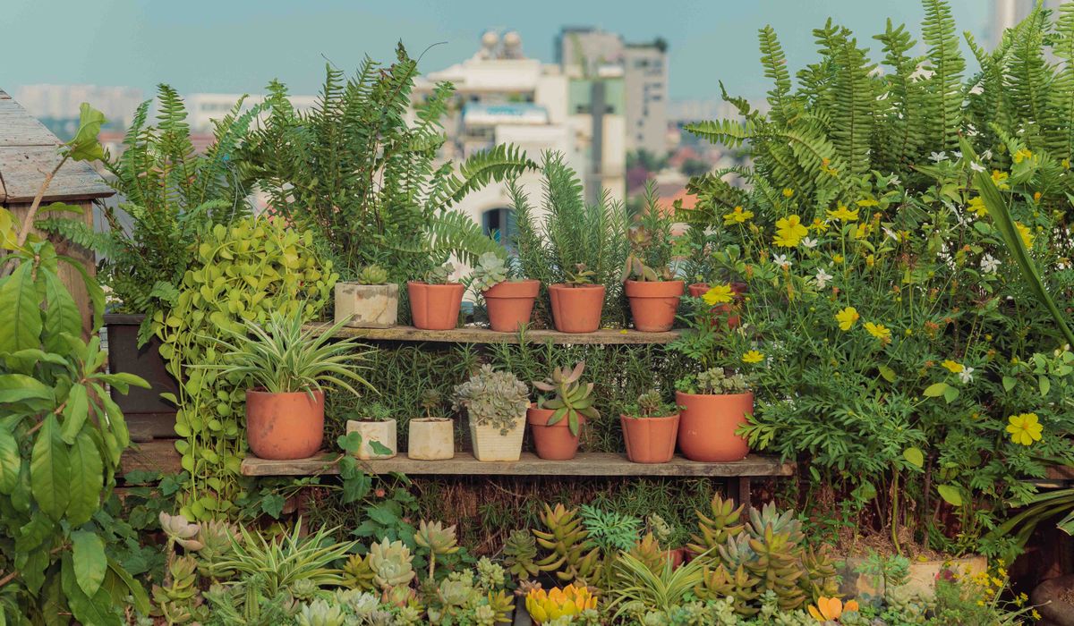 Small Patio Layout Ideas for Year-Round Interest